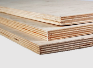 Elliottis Pine Shuttering Plywood